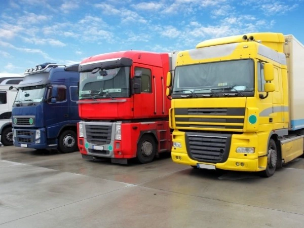 İzmir Çınar Nakliye